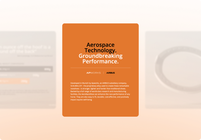 AeroRaceShoes performance story interface